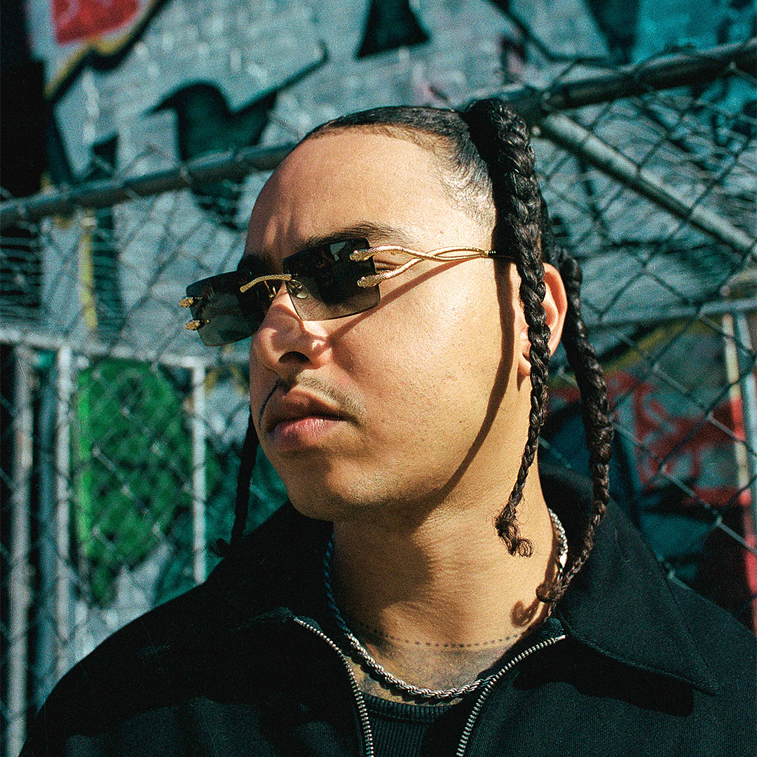 BLACK TINT SERPENT II