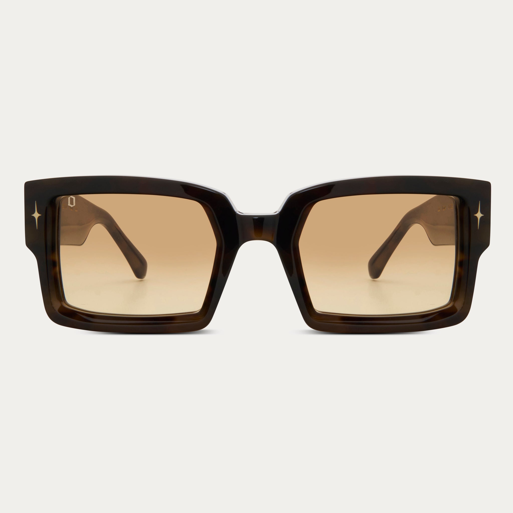 TIGER EYE ICON